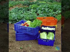 27L nhẹ gấp hộp hộp rau trái cây chuyển đổi lưới hộp với tay cầm